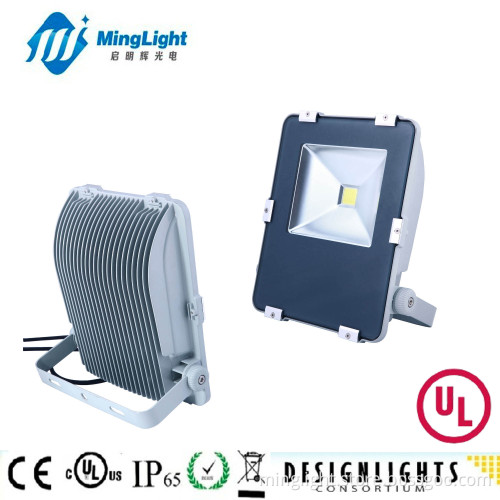 LED CREE Floodlight, CE&RoHS Flood Lighting